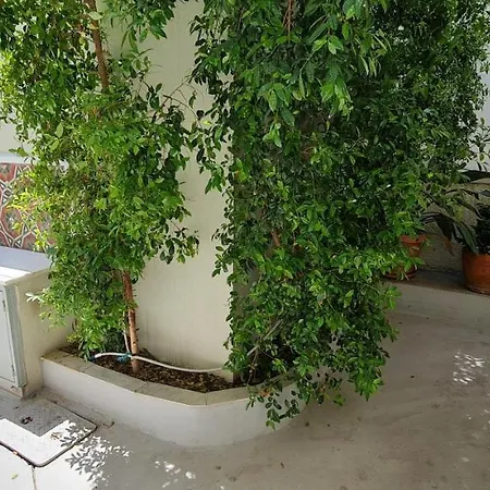 Anastasia House Σπίτι διακοπών